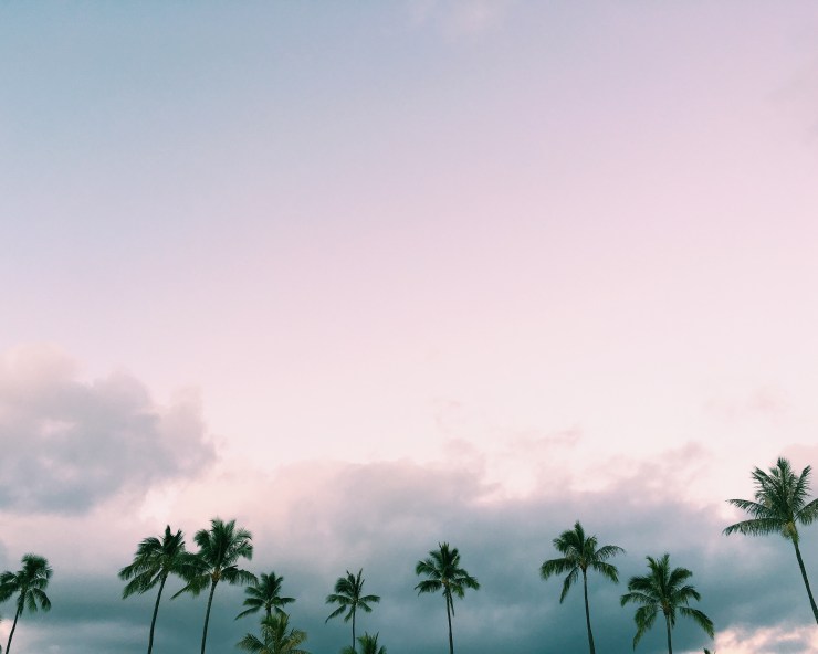 Processed with VSCOcam with c1 preset