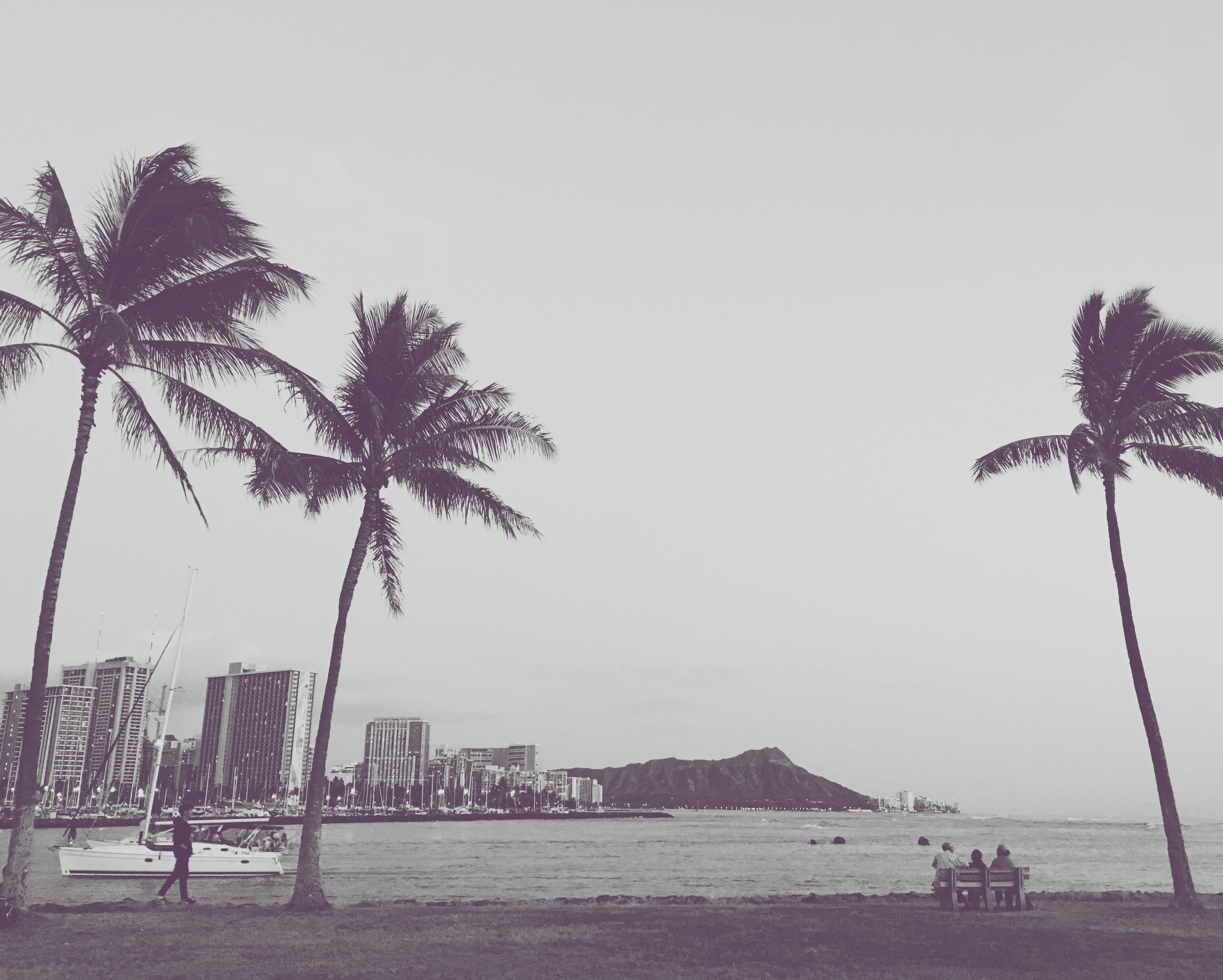 Processed with VSCOcam with b1 preset