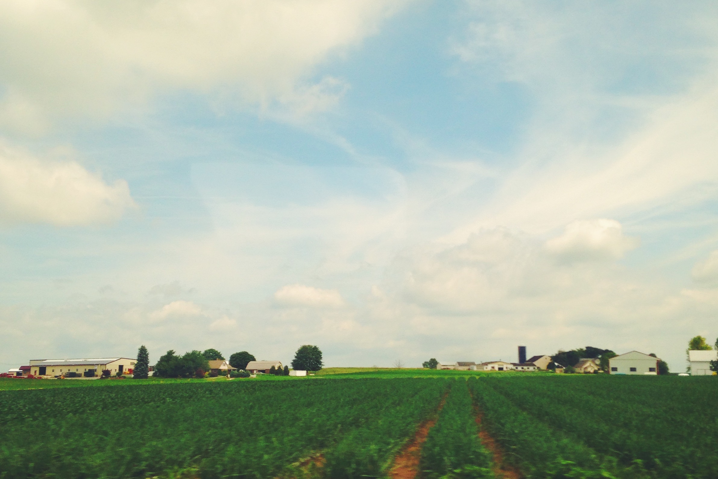 Processed with VSCOcam with f2 preset